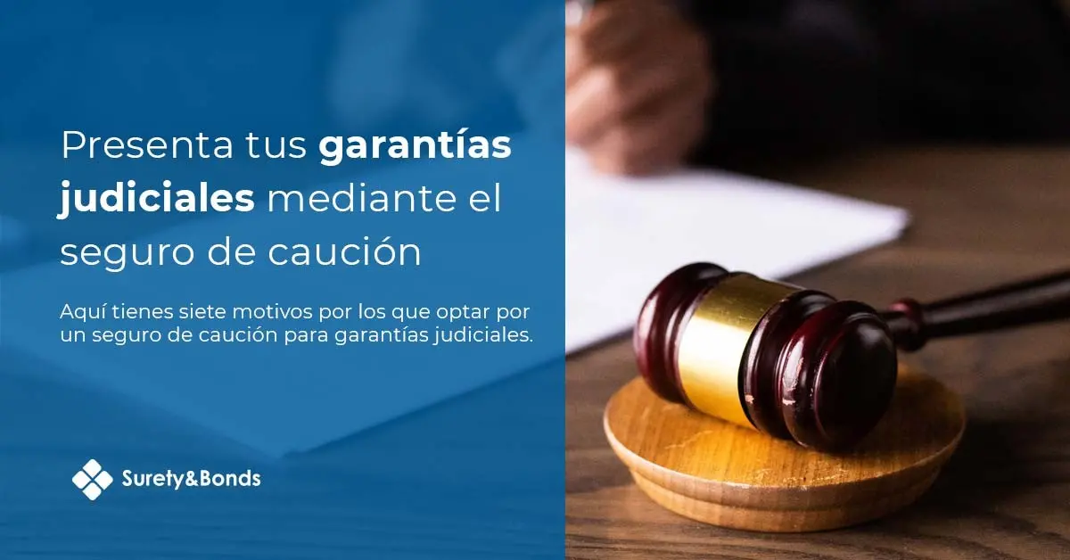 Garantías Judiciales mediante seguros de caución